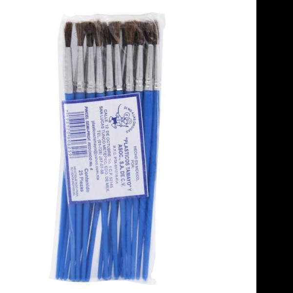 PINCEL PLASTICO SEMIPROFESIONAL 6 TAMAYO AZULE25C1500